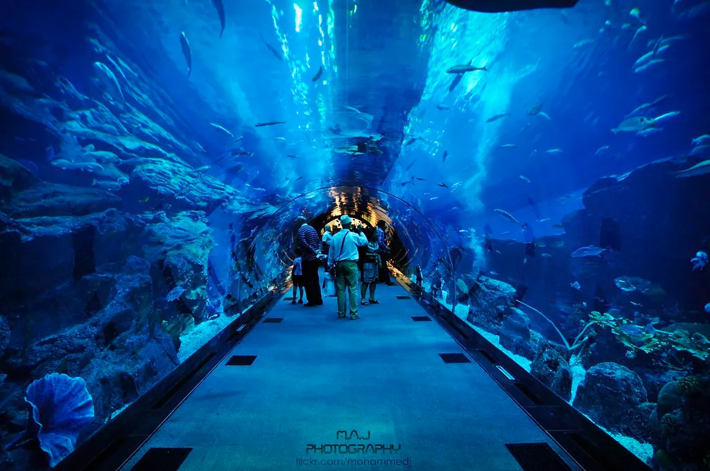 Dubai Aquarium Destination